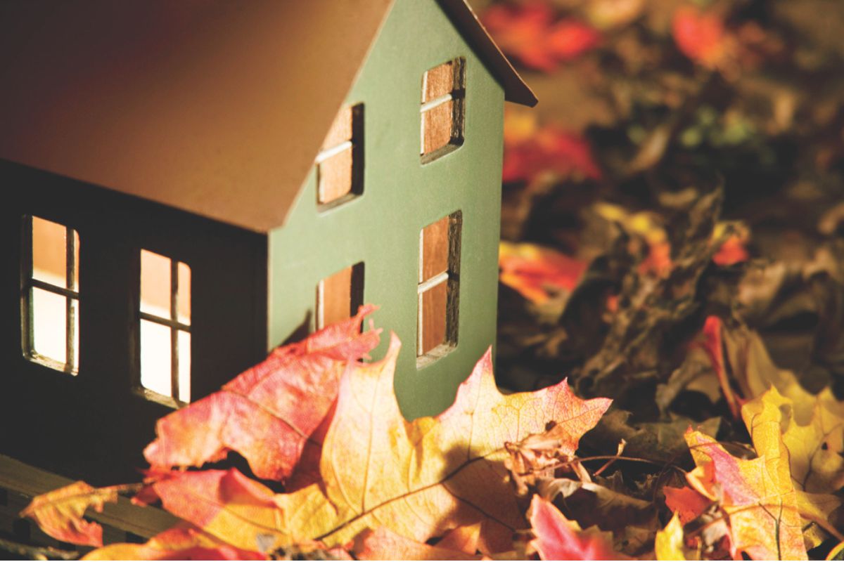 Small house surrounded by leaves