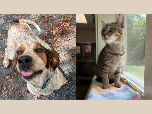 Jethro and Trista