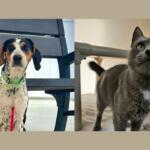 Emily Elizabeth and Ziva