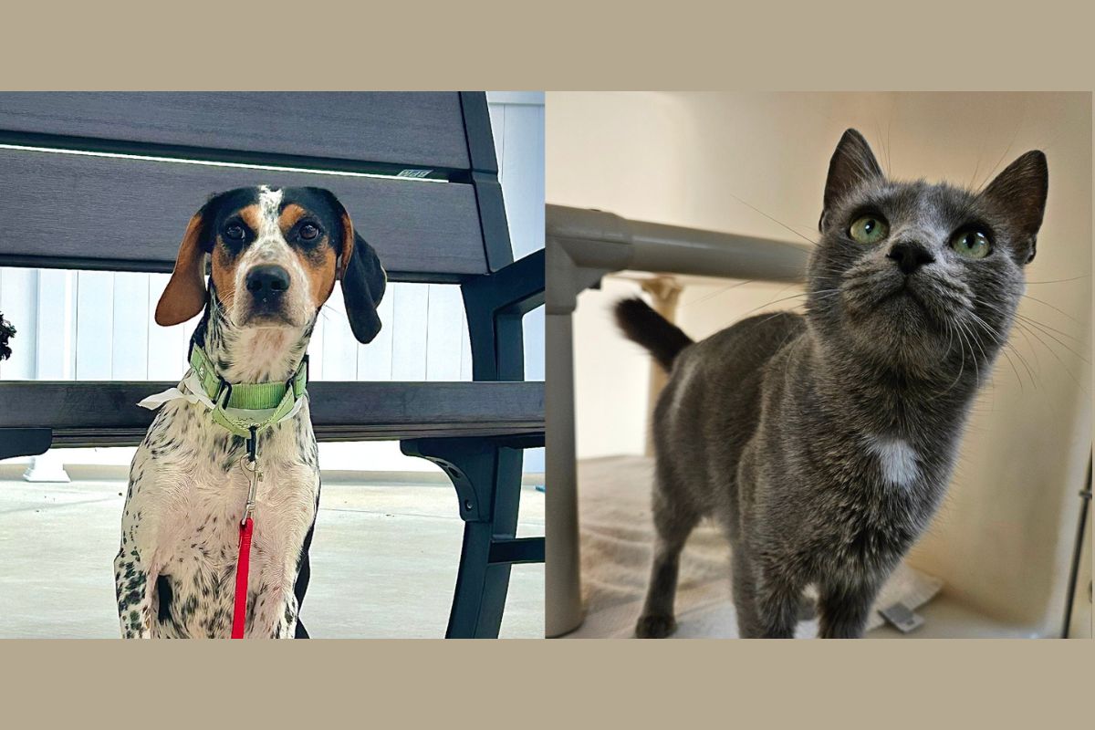 Emily Elizabeth and Ziva