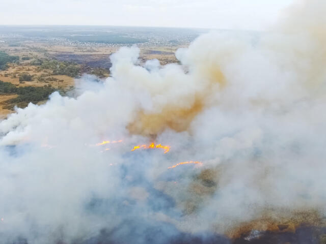 fire wildfire