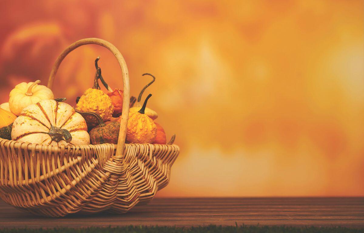 Basket of pumpkins