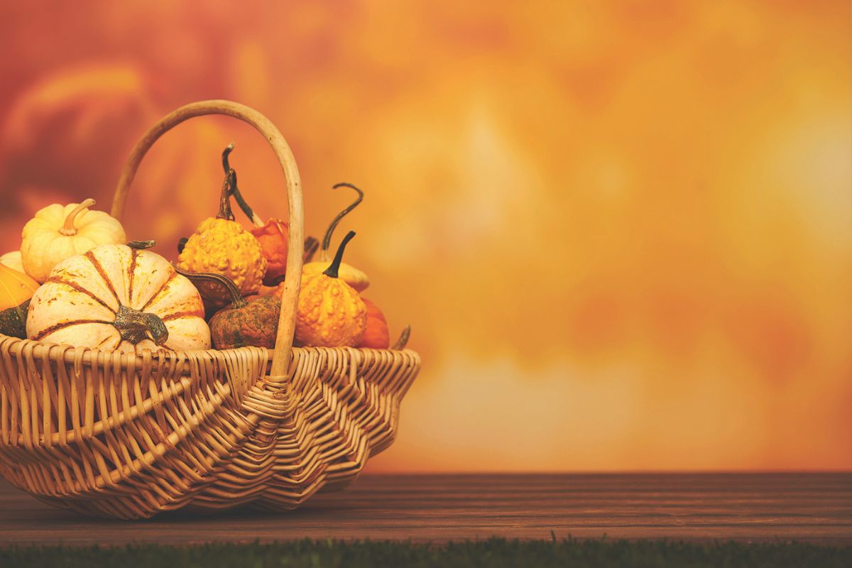 Basket of pumpkins