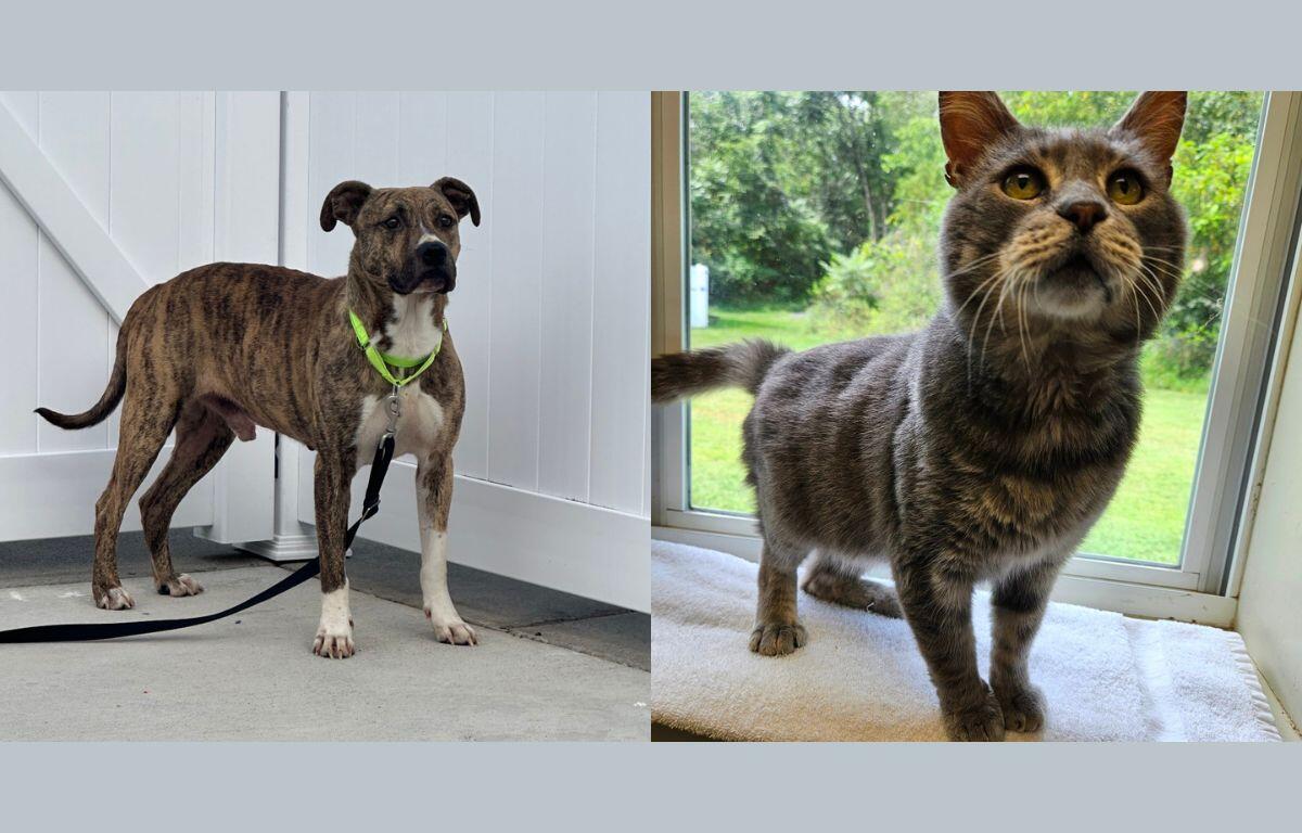 Buddy and Leroy Jenkins