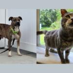 Buddy and Leroy Jenkins