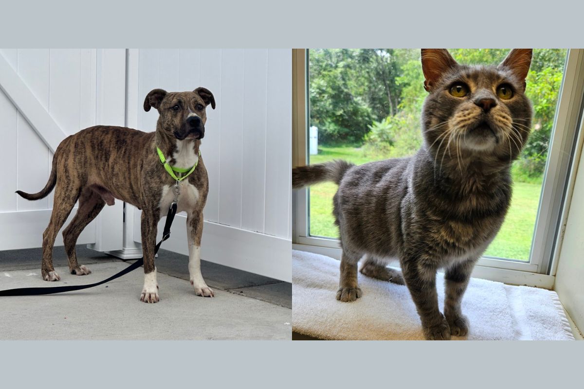 Buddy and Leroy Jenkins