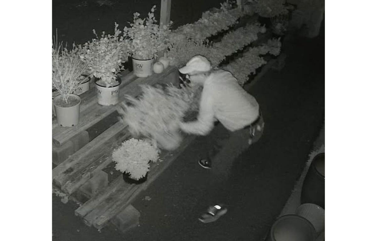 Frankie and Mertal’s Garden Spot