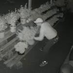 Frankie and Mertal’s Garden Spot