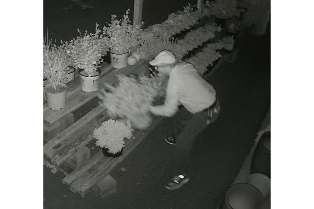 Frankie and Mertal’s Garden Spot