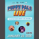Puppy Pals Live! poster