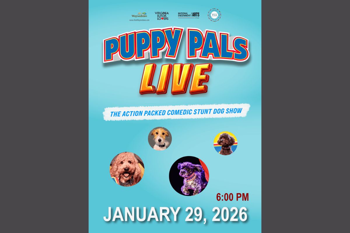 Puppy Pals Live! poster