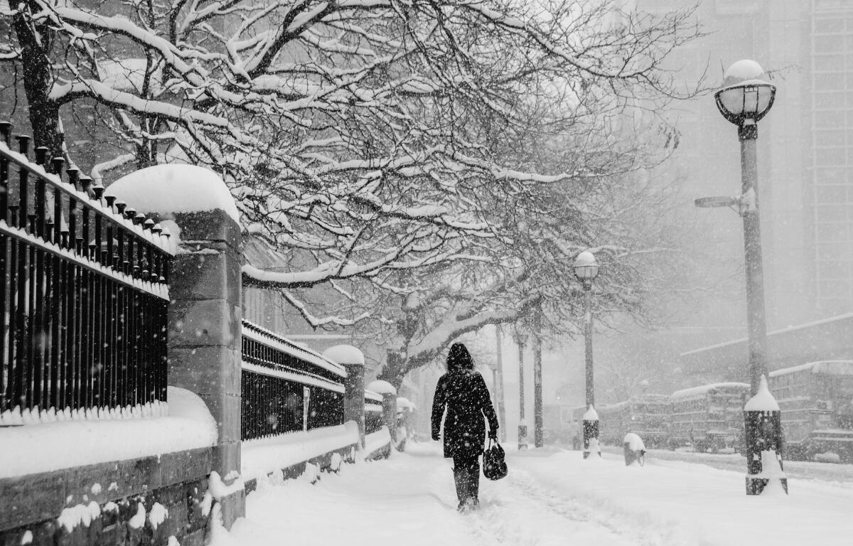 A person walking in a snow storm.