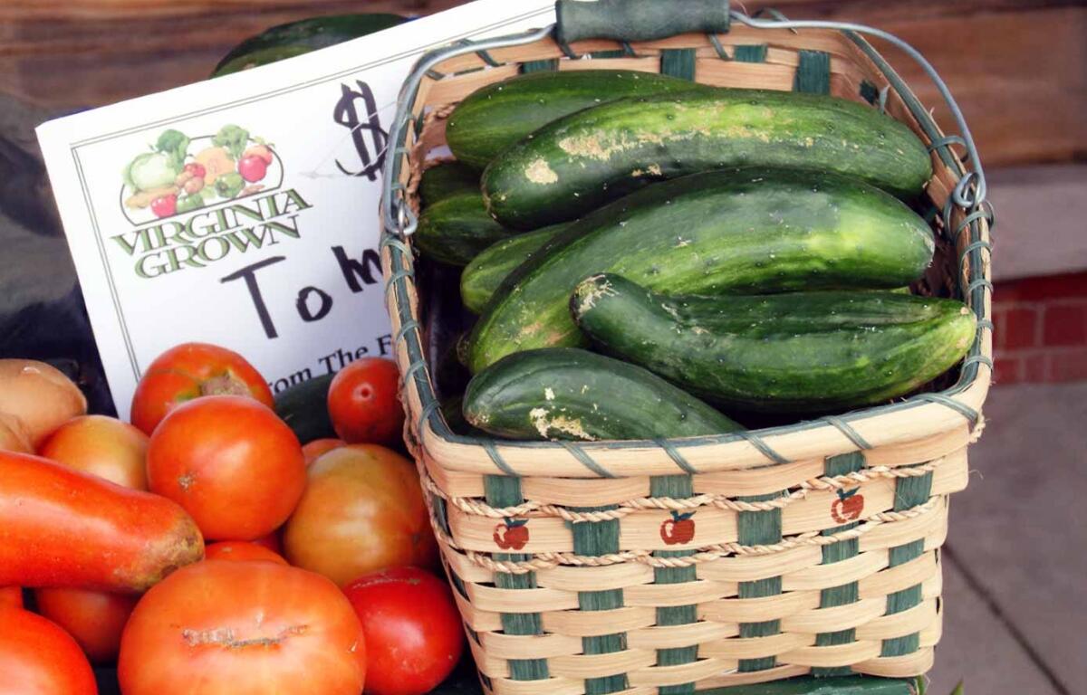 Cucumbers in a basket on a table next to tomatoes.