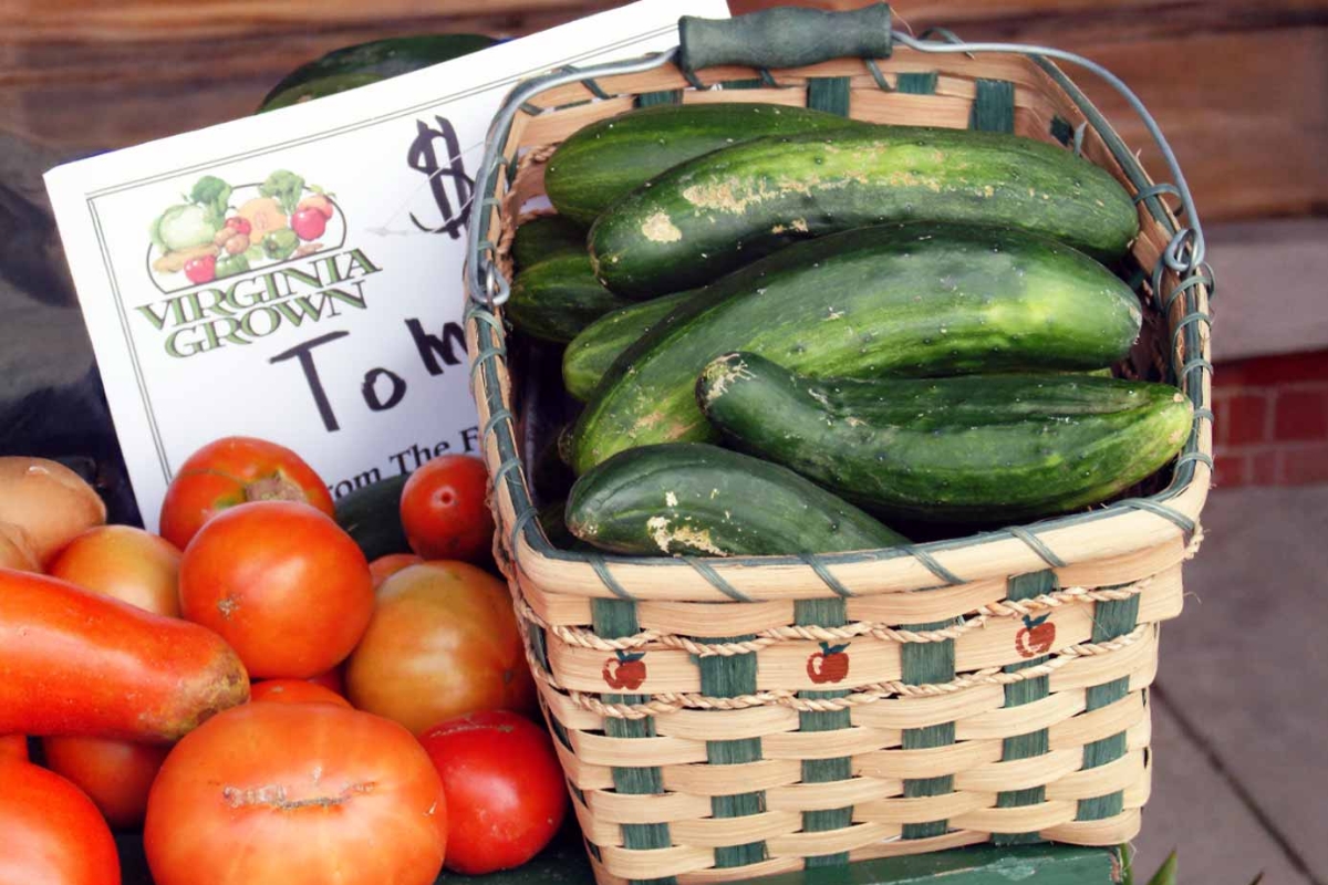 Cucumbers in a basket on a table next to tomatoes.