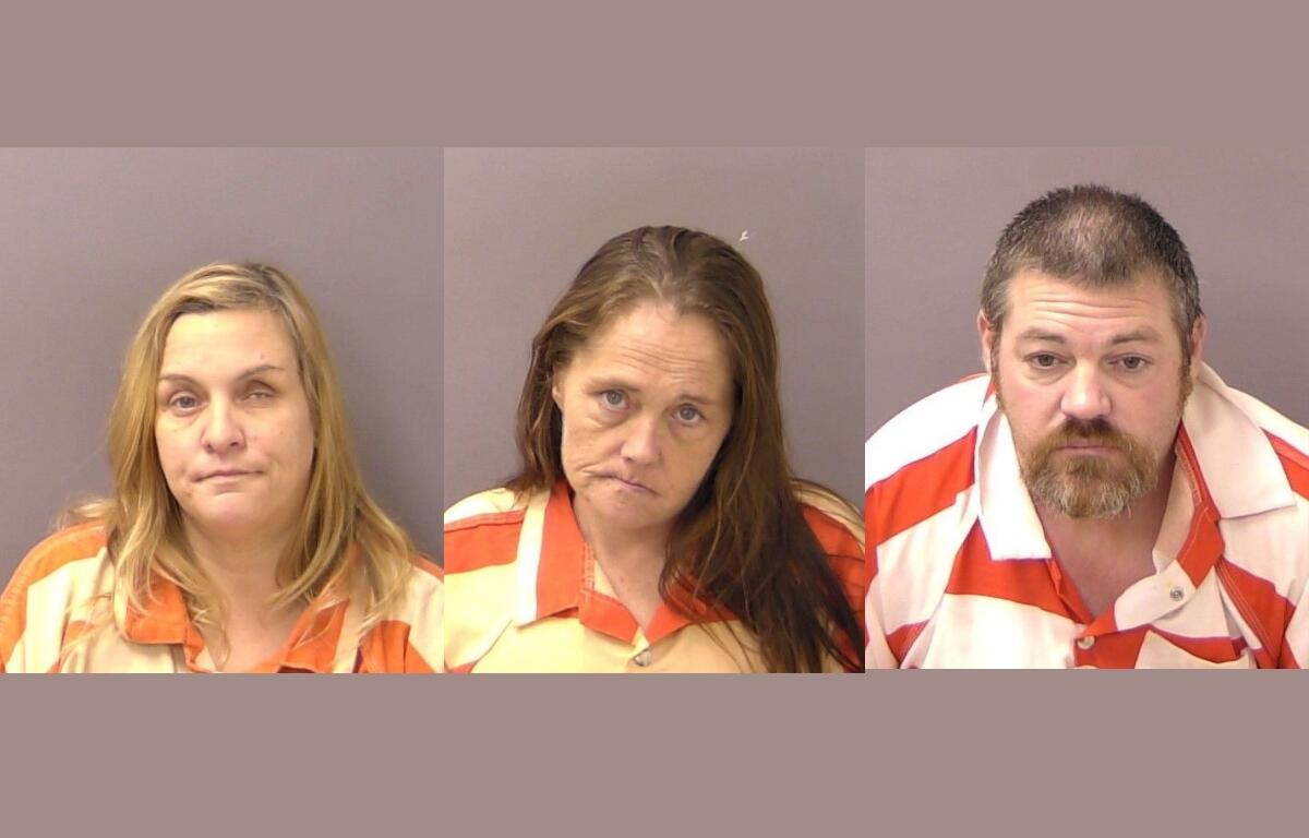 Mugshots for kristen breen, elizabeth tweedy, timothy capelle