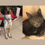 Miss Piggy and Medusa