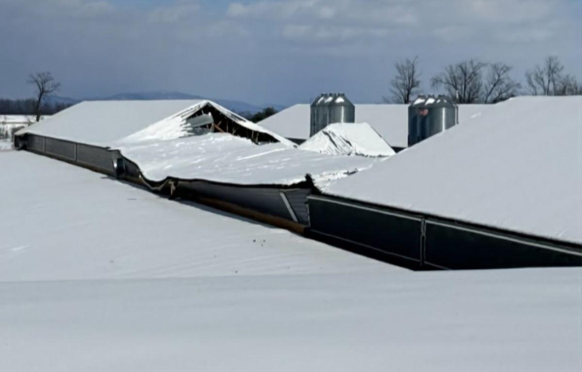 Poultry House down from the snow
