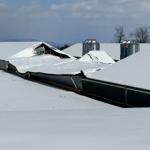 Poultry House down from the snow