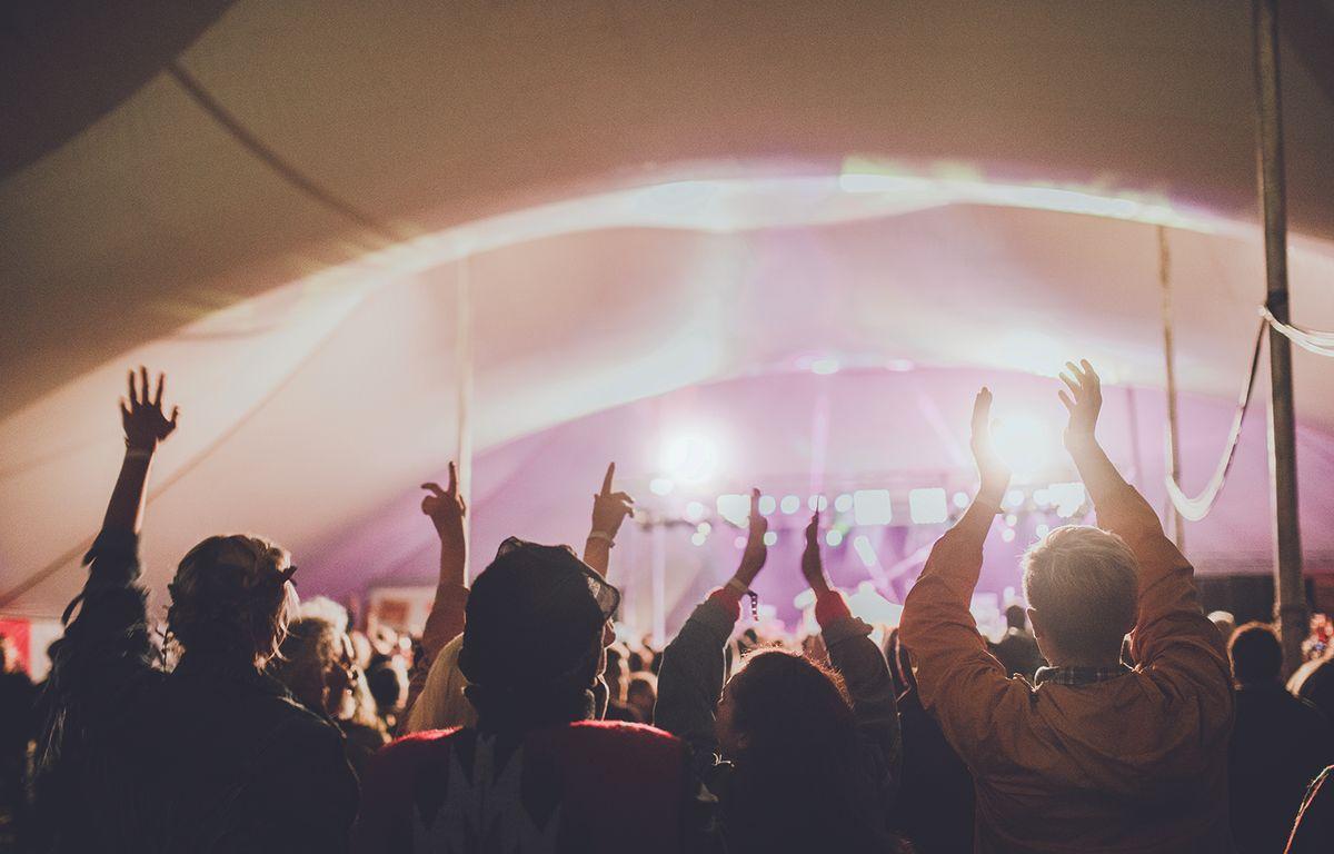 Crowd at a Music Festival