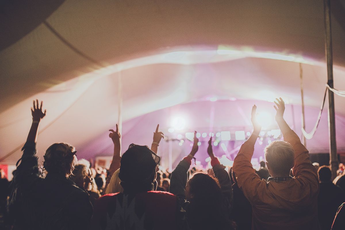 Crowd at a Music Festival