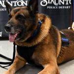 Up close of Staunton Police K-9 Wilson, a German Shepard, at his retirement party.