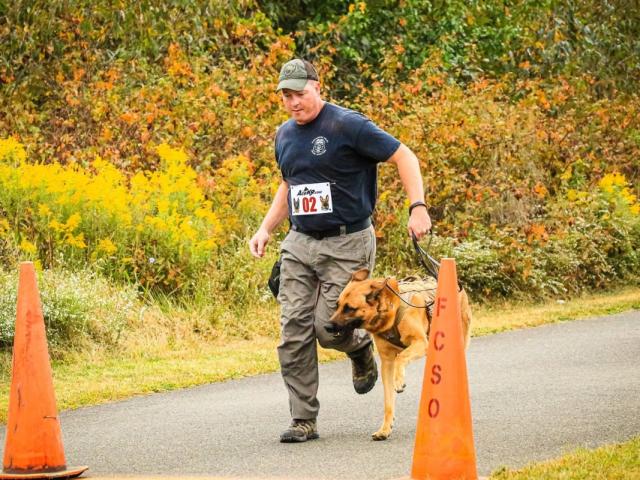 Tyr running with his handler.
