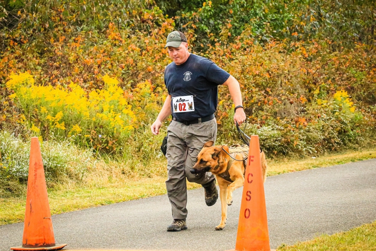 Tyr running with his handler.