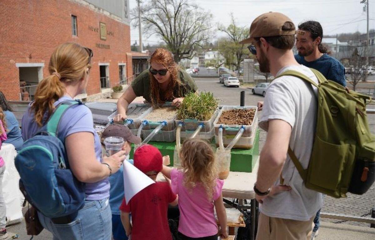 Pollinators In Your Yard