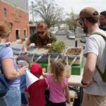 Pollinators In Your Yard