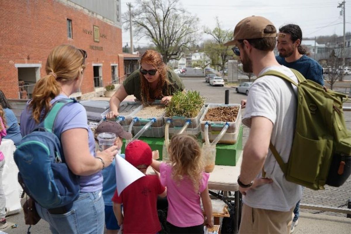 Pollinators In Your Yard
