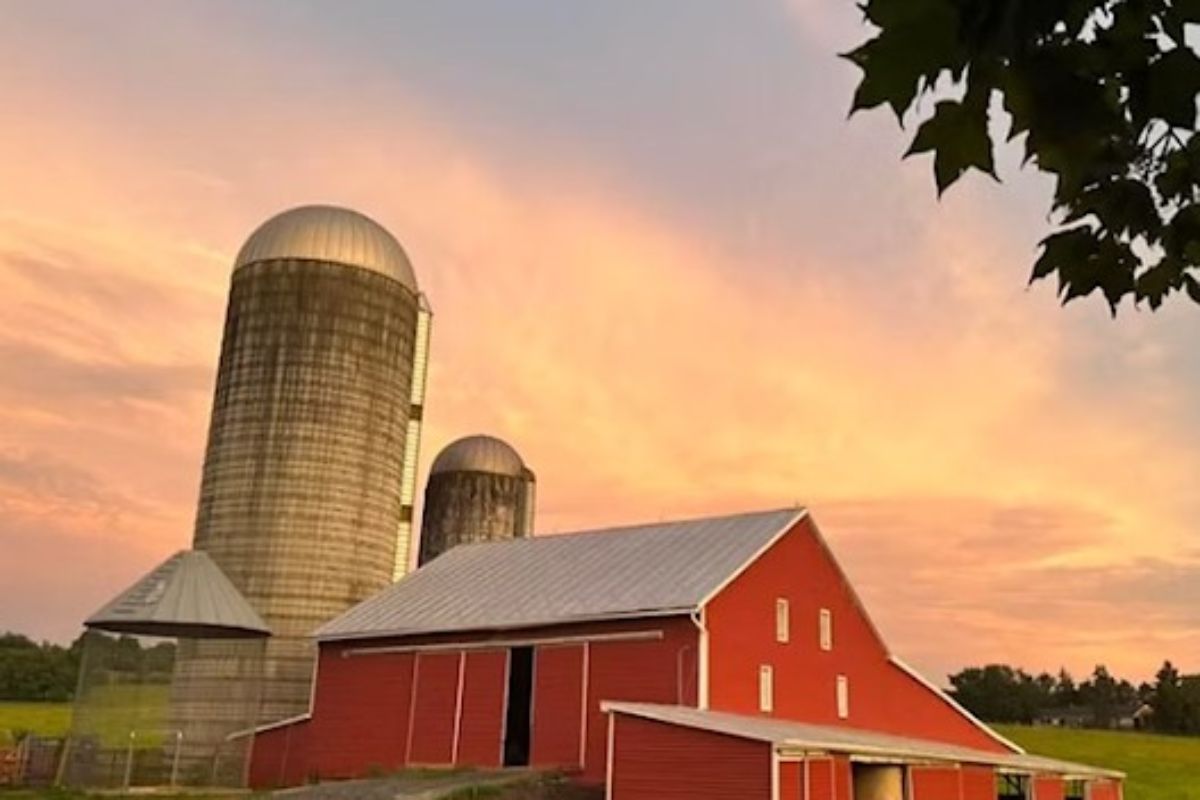 The new Farm Explorer Passport Program offers visitors an insight into local agriculture