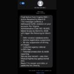 A screenshot of a scam text