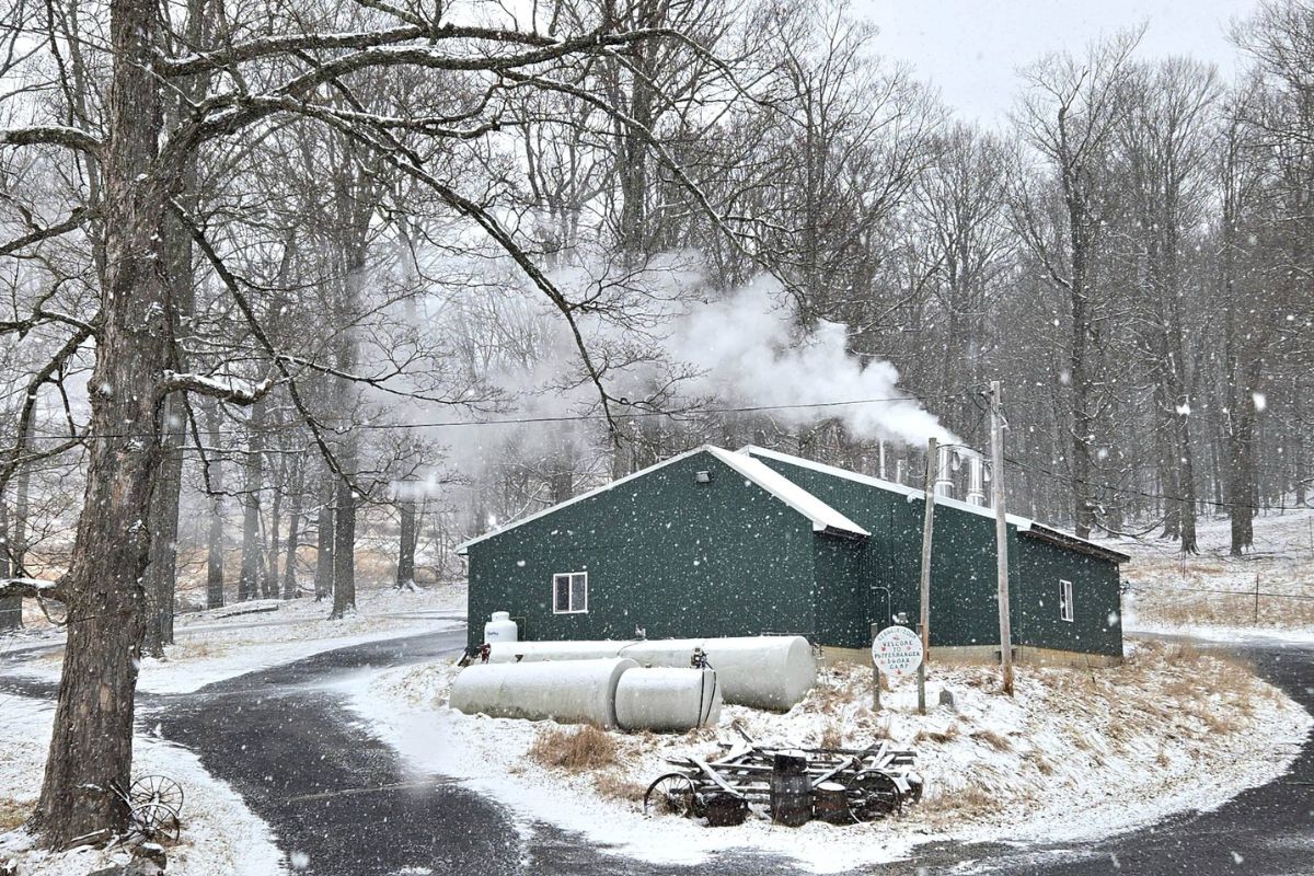 Puffenbarger's Sugar Orchard