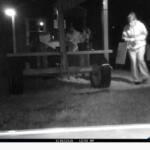 Two individuals reportedly stealing from a produce stand