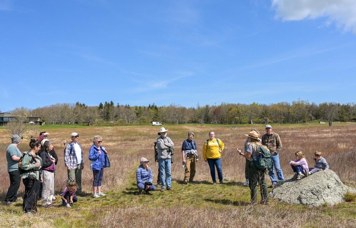 Group of hikers in a grassy field listening to a guide near a large boulder on a sunny day.