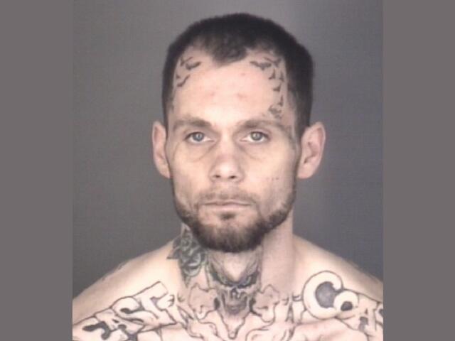 Mugshot of Brandom William Fitzner