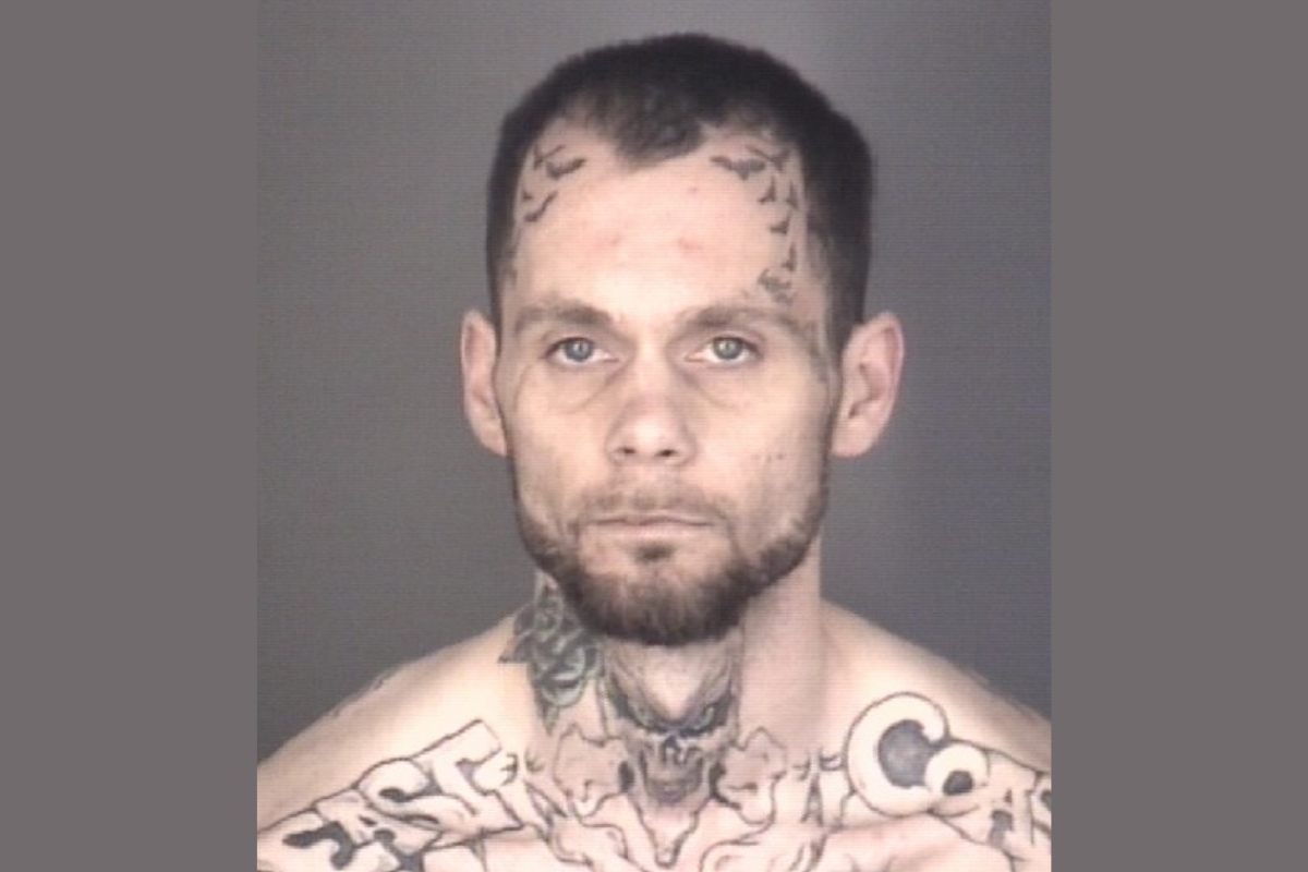 Mugshot of Brandom William Fitzner