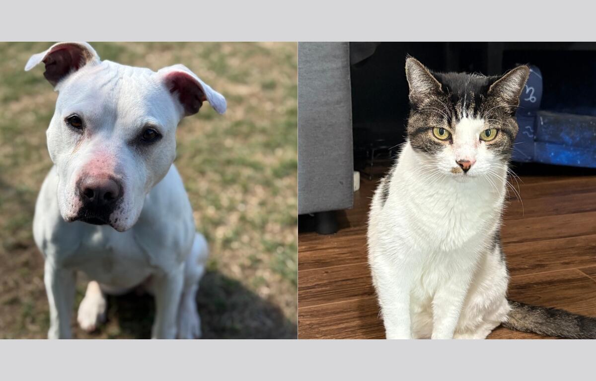 Princess and Salvatore