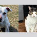 Princess and Salvatore