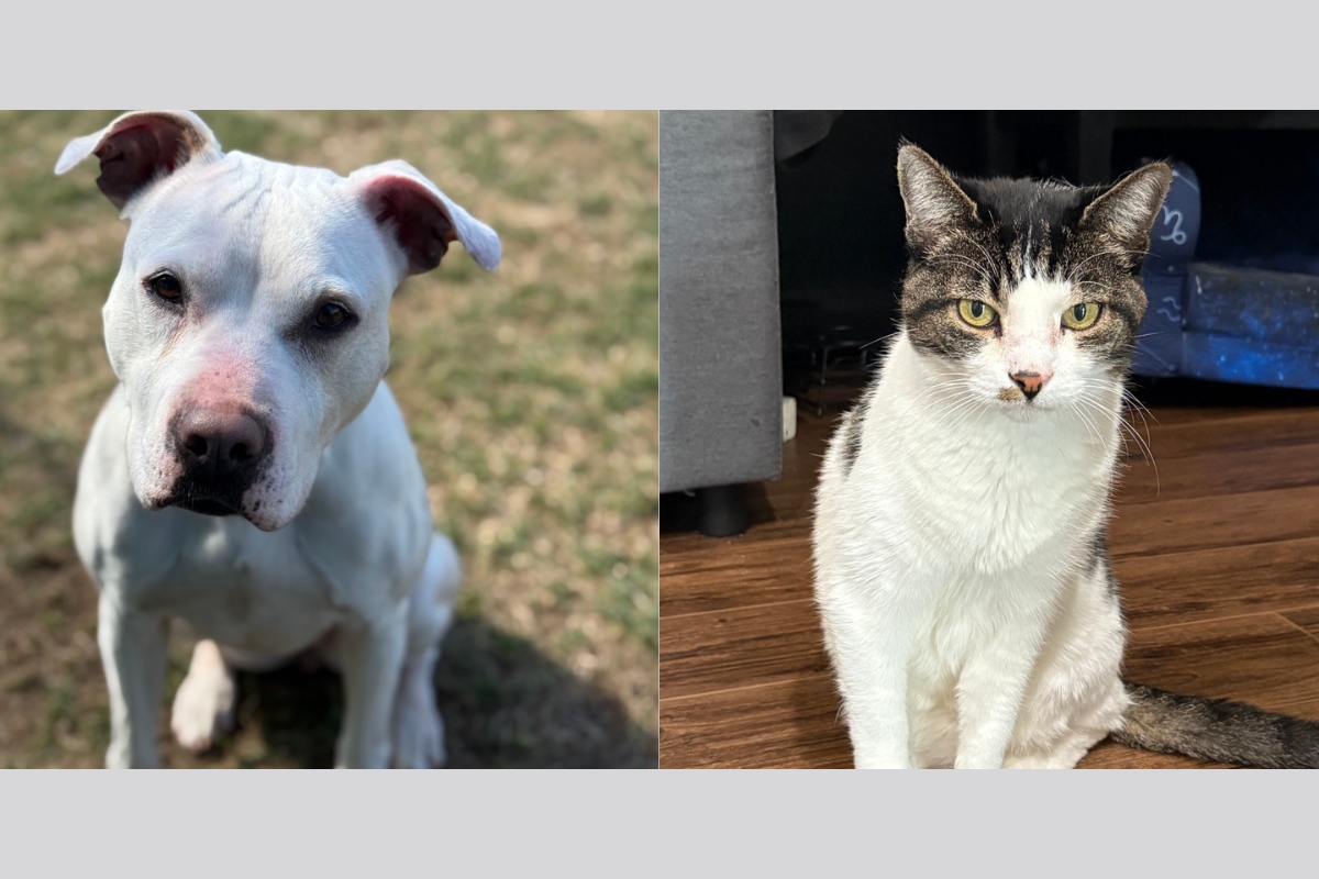 Princess and Salvatore