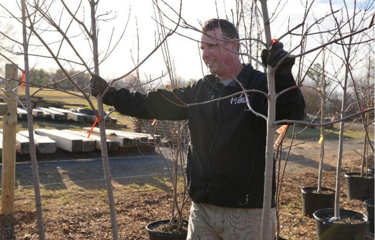 Smiling man in a black jacket ties an orange ribbon to a young tree in a nursery.