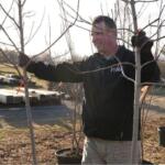 Smiling man in a black jacket ties an orange ribbon to a young tree in a nursery.