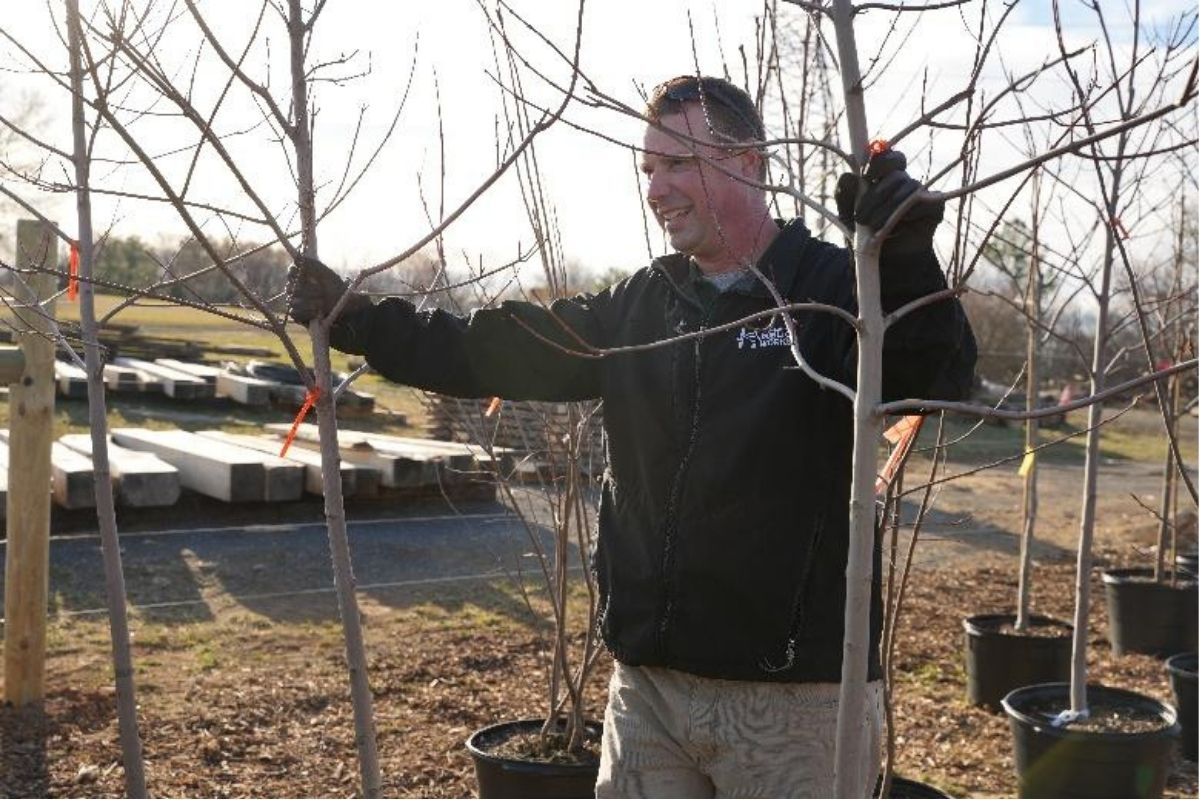 Smiling man in a black jacket ties an orange ribbon to a young tree in a nursery.