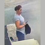 Photo of woman allegedly involved in hit and run traffic crash