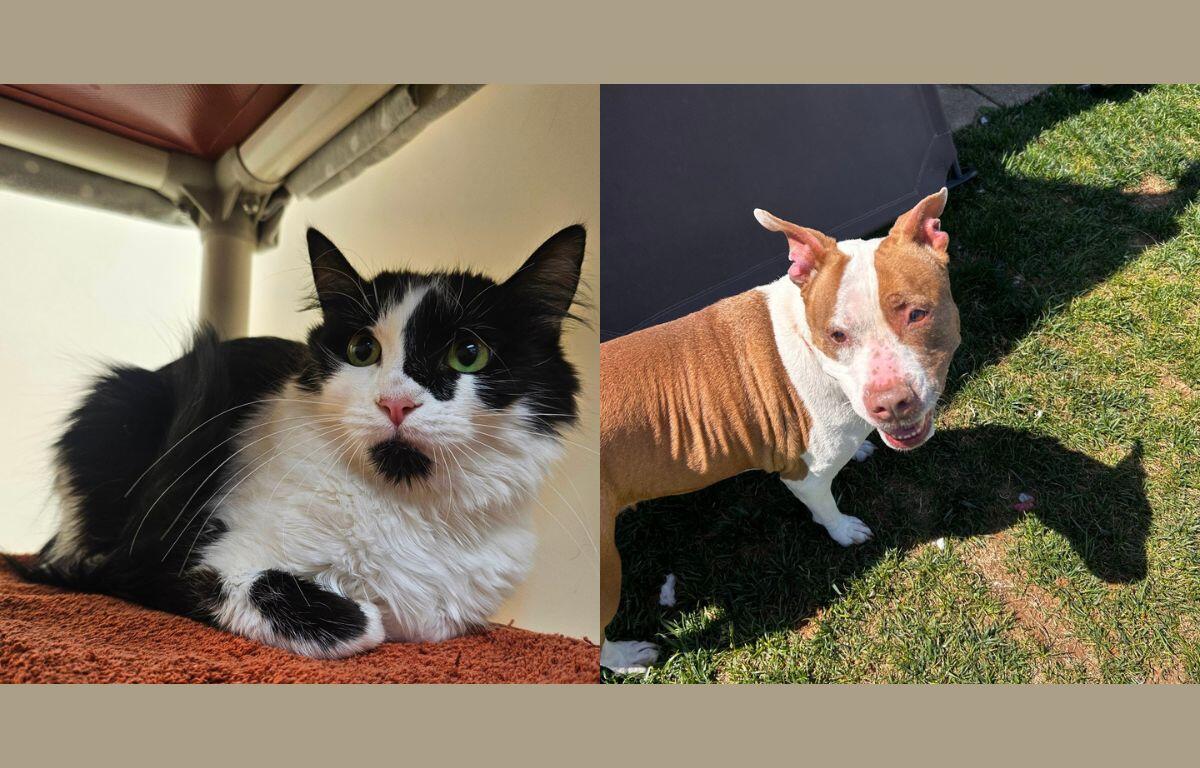 Eva (left) and Rose (right)