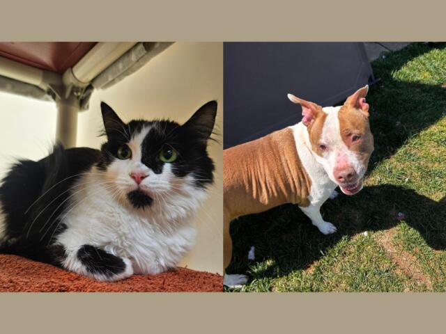 Eva (left) and Rose (right)