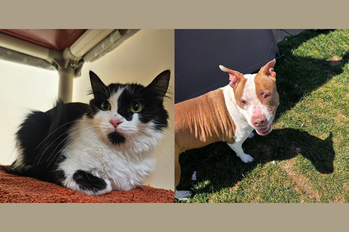 Eva (left) and Rose (right)