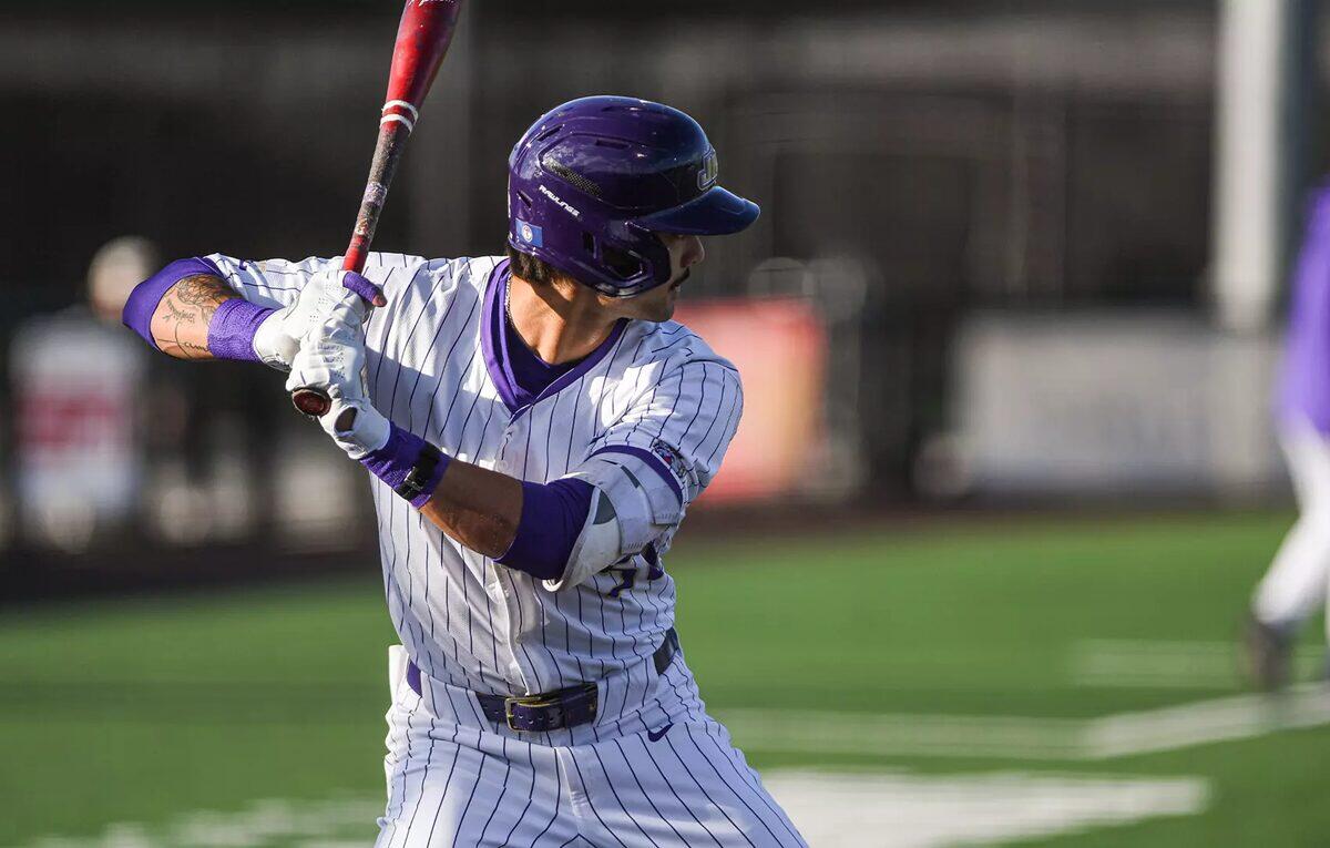 Baseball player in a white pinstripe uniform swings a bat, wearing a purple helmet and sleeves on a green field.