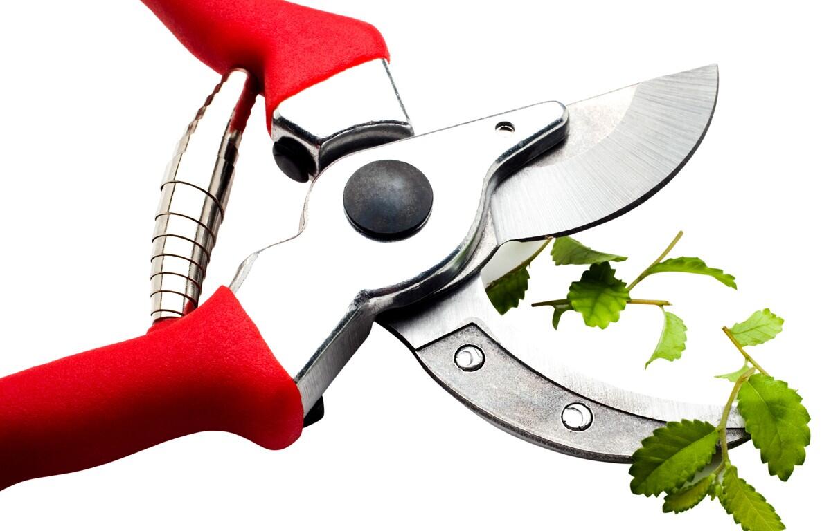 pruning shears clipart
