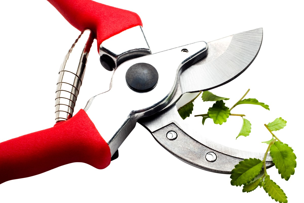 pruning shears clipart